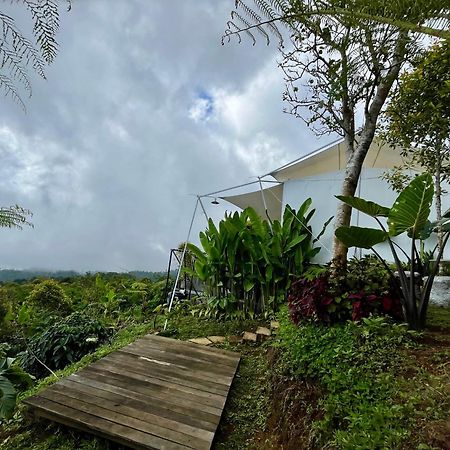 Harsa Eco Luxury Camp Otel Gobleg  Dış mekan fotoğraf