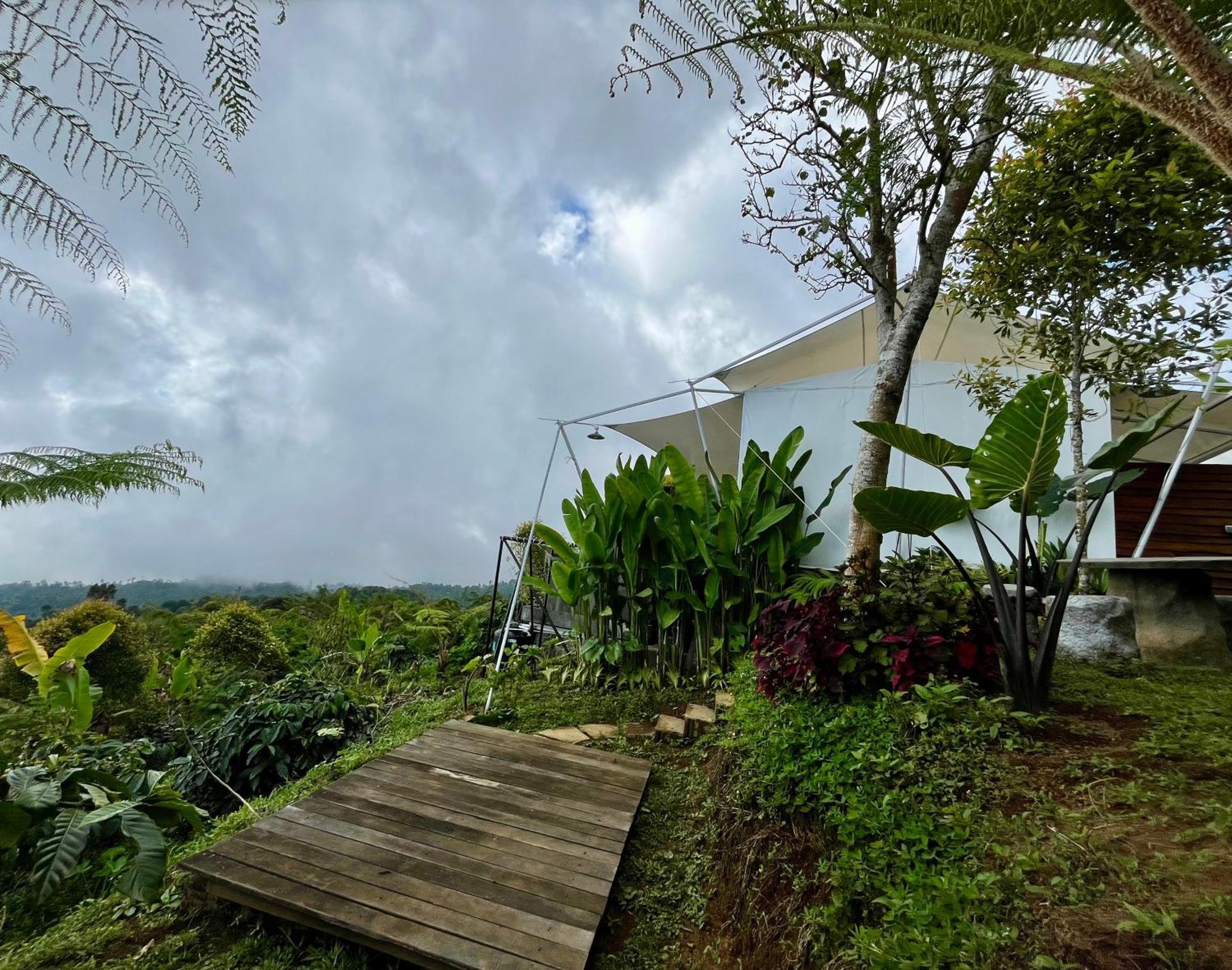Harsa Eco Luxury Camp Otel Gobleg  Dış mekan fotoğraf