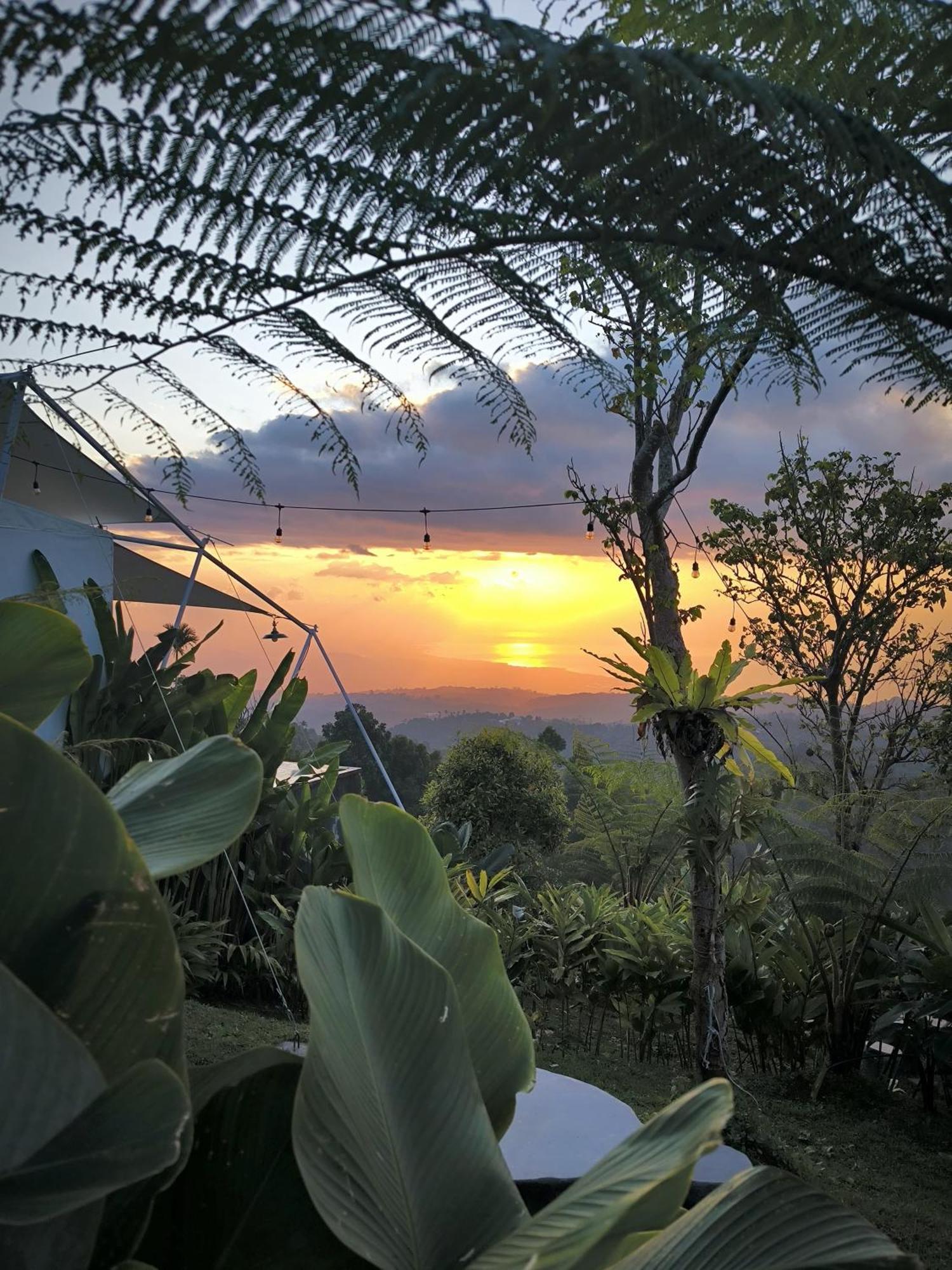 Harsa Eco Luxury Camp Otel Gobleg  Dış mekan fotoğraf
